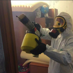 Уничтожение клопов в квартире. Сокол 